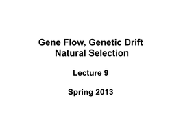 Gene Flow, Genetic Drift Natural Selection