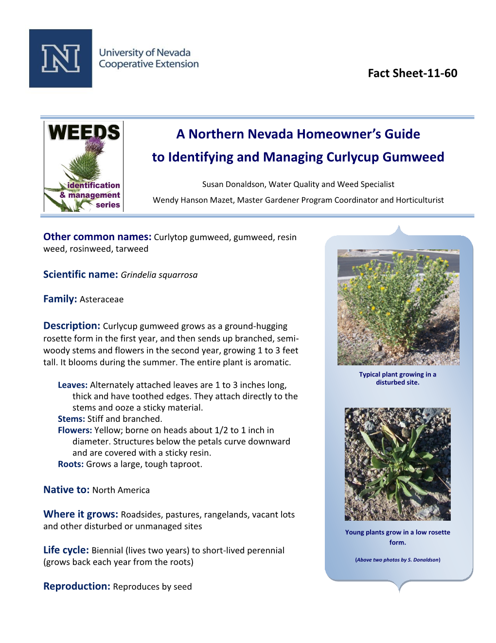 Curlycup Gumweed Fact Sheet
