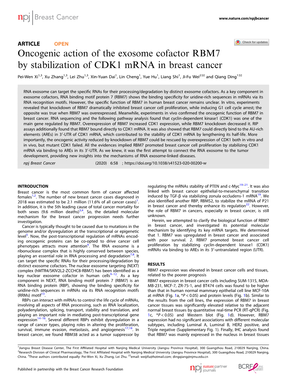 Oncogenic Action of the Exosome Cofactor RBM7 by Stabilization Of