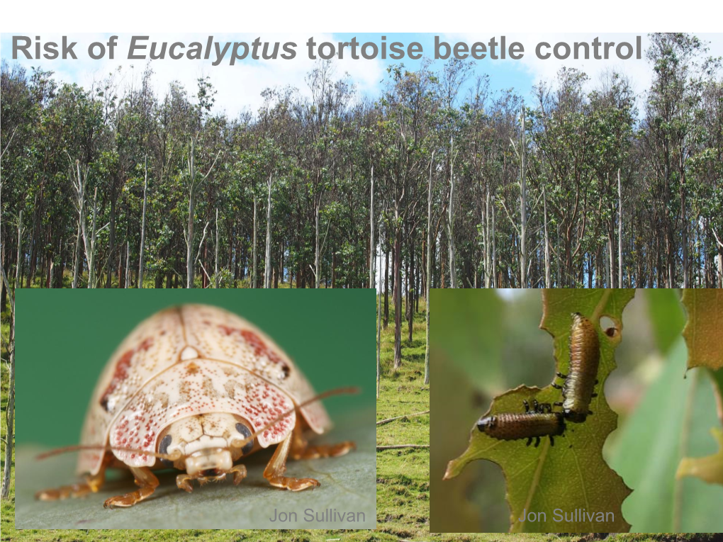 Risk of Eucalyptus Tortoise Beetle Control