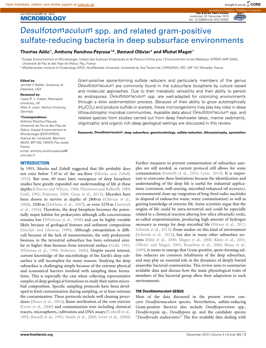 Desulfotomaculum Spp. and Related Gram-Positive Sulfate-Reducing Bacteria in Deep Subsurface Environments