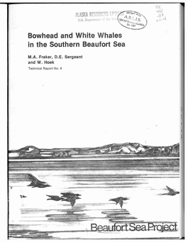 Bowhead and White Whales in the Southern Beaufort Sea