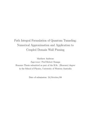Path Integral Formulation of Quantum Tunneling: Numerical Approximation and Application to Coupled Domain Wall Pinning