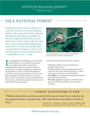 Gila National Forest Fact Sheet