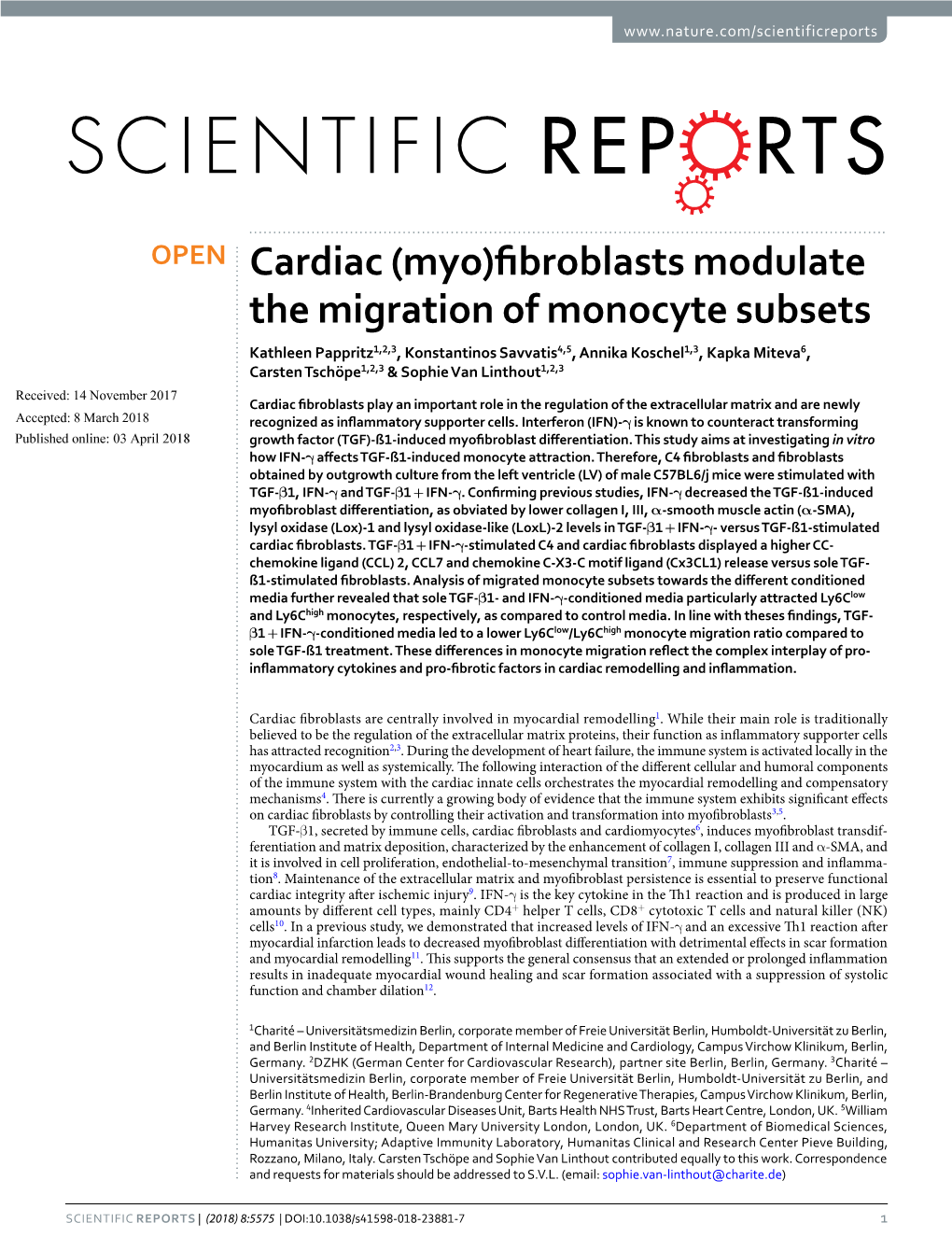 Cardiac (Myo)Fibroblasts Modulate the Migration of Monocyte Subsets