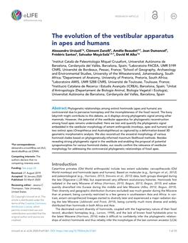 The Evolution of the Vestibular Apparatus In