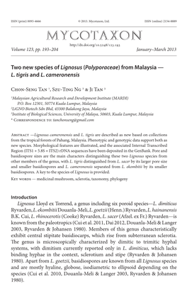 Two New Species of &lt;I&gt;Lignosus&lt;/I&gt; (&lt;I