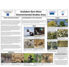 Mammals Birds Lower Kern River Habitat Plants Environmental Study Area (Esa) Acknowledgements