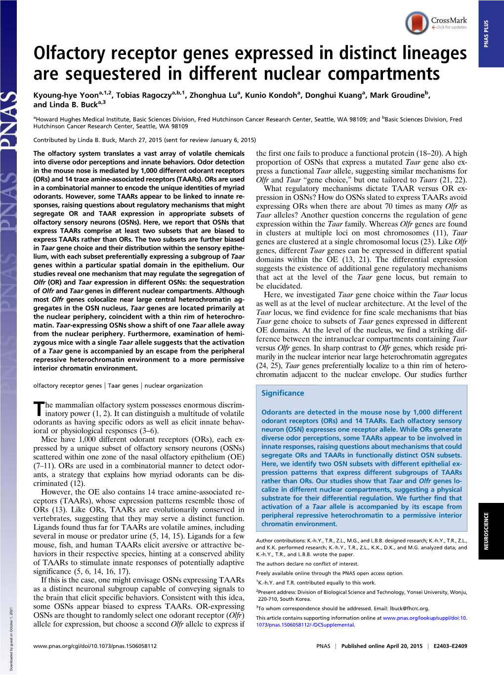 Olfactory Receptor Genes Expressed in Distinct Lineages Are Sequestered In