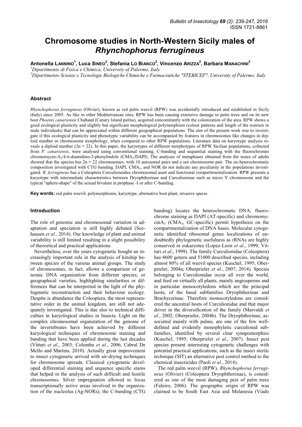 Chromosome Studies in North-Western Sicily Males of Rhynchophorus Ferrugineus