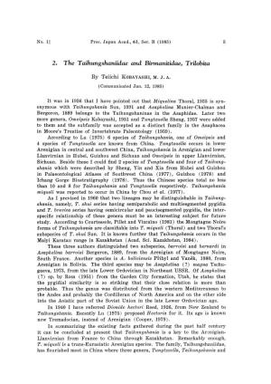 2. the Taihungshaniidae and Birmanitidae, Trilobita
