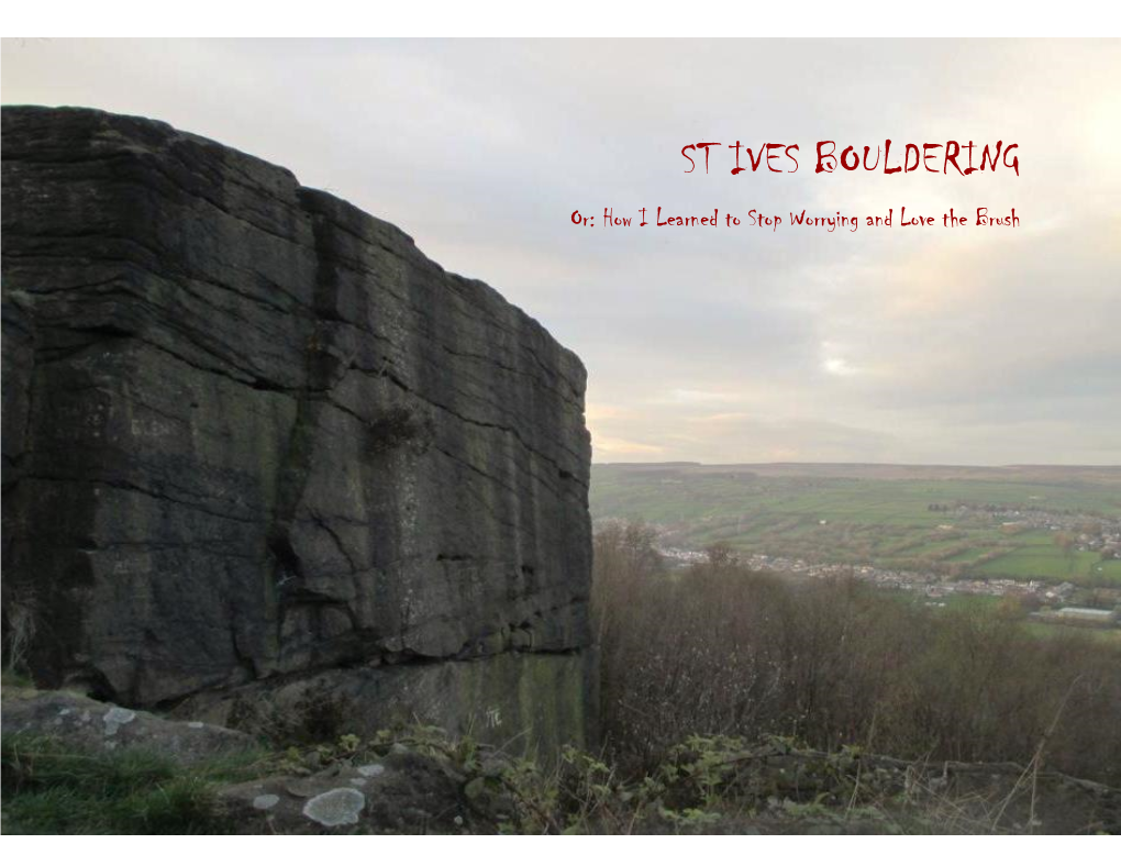 ST IVES BOULDERING Or: How I Learned to Stop Worrying and Love the Brush