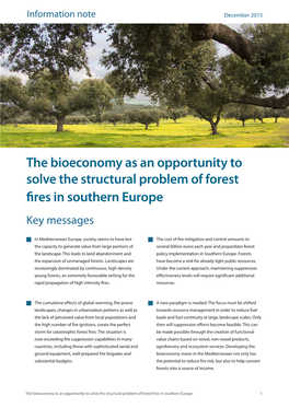 The Bioeconomy As an Opportunity to Solve the Structural Problem of Forest Fires in Southern Europe Key Messages