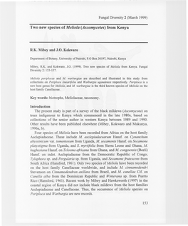 Two New Species of Meliola (Ascomycetes) from Kenya