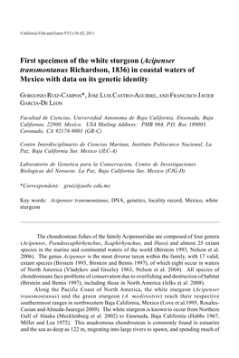First Specimen of the White Sturgeon (Acipenser Transmontanus Richardson, 1836) in Coastal Waters of Mexico with Data on Its Genetic Identity