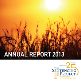 Annual Report 2013