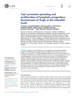 Yap1 Promotes Sprouting and Proliferation of Lymphatic Progenitors Downstream of Vegfc in the Zebrafish Trunk