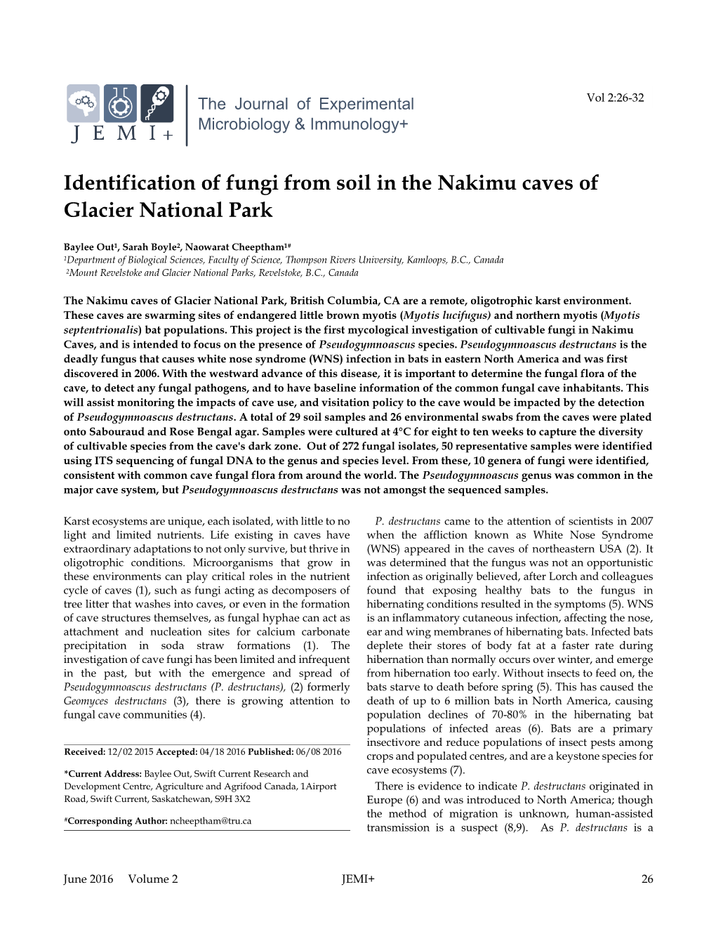 Identification of Fungi from Soil in the Nakimu Caves of Glacier National Park