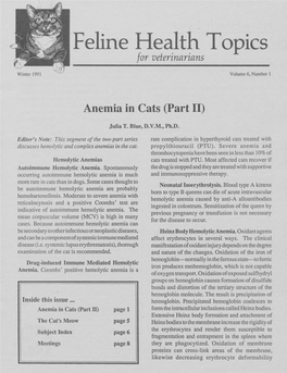 Feline Health Topics for Veterinarians