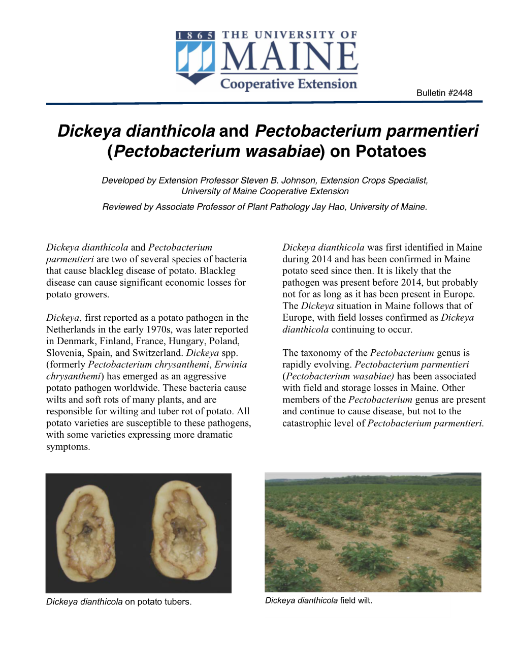 Dickeya Dianthicola and Pectobacterium Parmentieri (Pectobacterium Wasabiae) on Potatoes