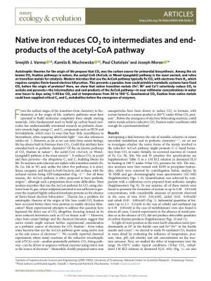 Native Iron Reduces CO2 to Intermediates and End- Products of the Acetyl-Coa Pathway