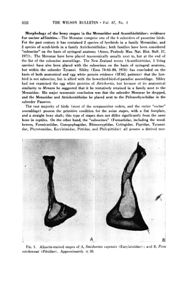 Morphology of the Bony Stapes in the Menuridae and Acanthisittidae: Evidence for Oscine Affinities.-The Menurae Comprise One of the 4 Suborders of Passerine Birds