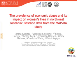 The Prevalence of Economic Abuse and Its Impact on Women's Lives in Northwest Tanzania: Baseline Data from the MAISHA Study