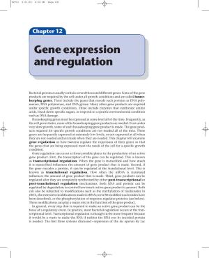 Chapter 12 Gene Expression and Regulation