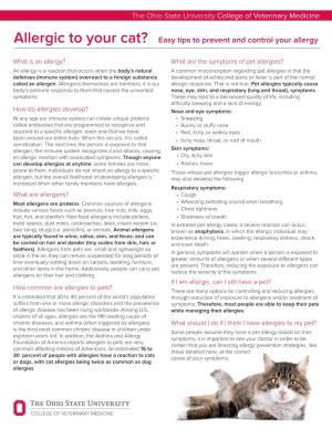 Allergic to Your Cat? Easy Tips to Prevent and Control Your Allergy
