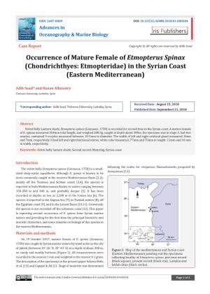 Occurrence of Mature Female of Etmopterus Spinax (Chondrichthyes: Etmopteridae) in the Syrian Coast (Eastern Mediterranean)