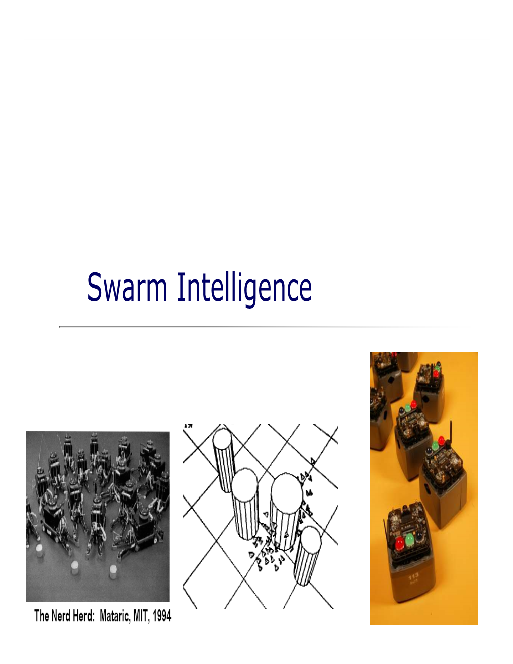 Swarm Intelligence Outline