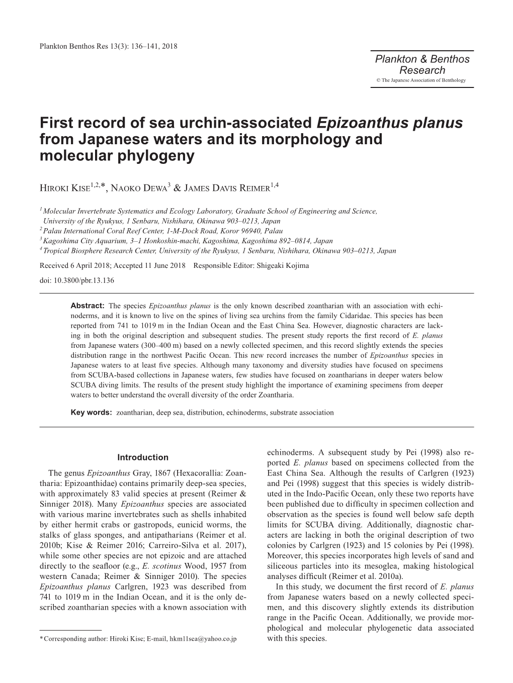 First Record of Sea Urchin-Associated Epizoanthus Planus from Japanese Waters and Its Morphology and Molecular Phylogeny