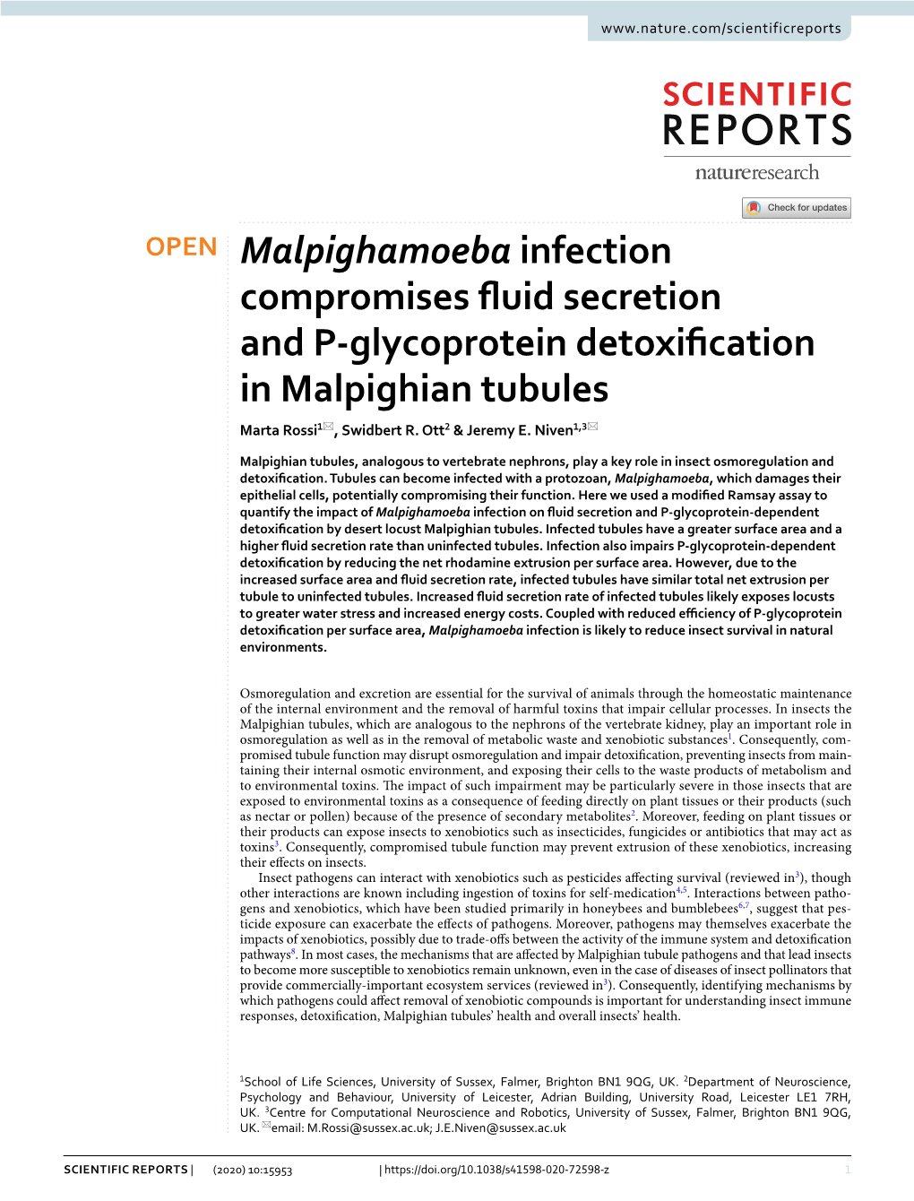 Malpighamoeba Infection Compromises Fluid Secretion and P