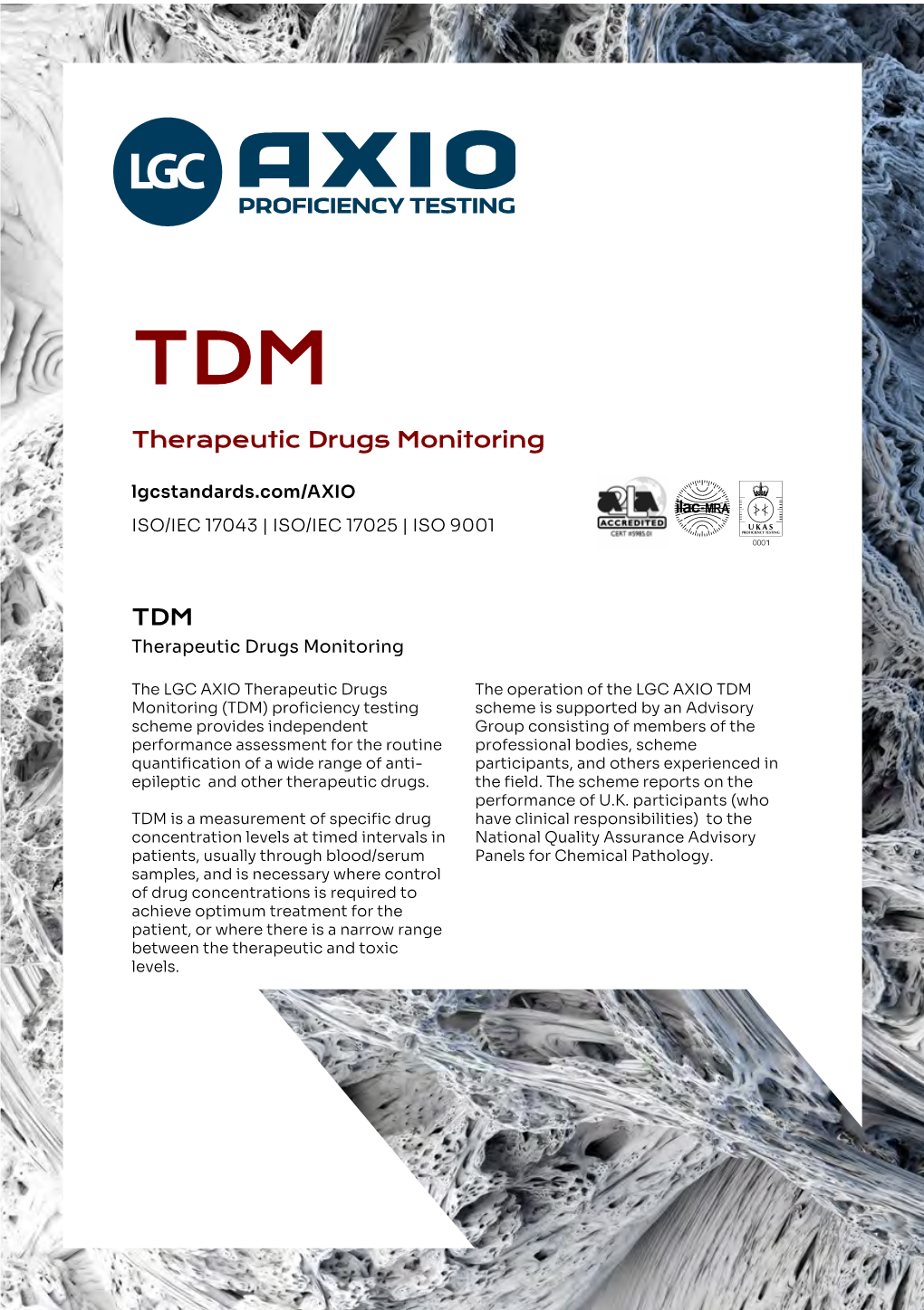 TDM+Scheme+Flyer.Pdf