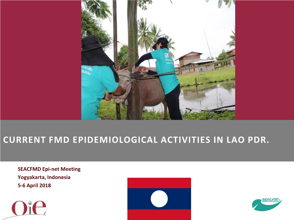 Current Fmd Epidemiological Activities in Lao Pdr
