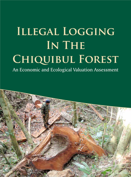 Illegal Logging in the Chiquibul Forest an Economic and Ecological Valuation Assessment