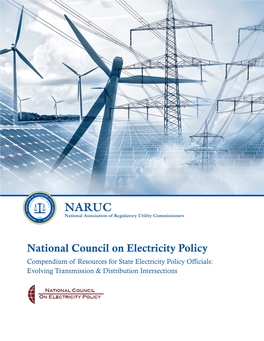 National Council on Electricity Policy