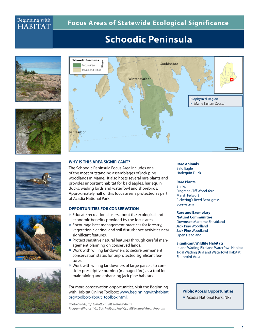 Schoodic Peninsula Beginning with Focus Areas of Statewide Ecological Significance Habitat Schoodic Peninsula