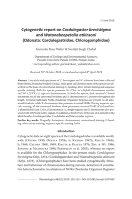 Cytogenetic Report on Cordulegaster Brevistigma and Watanabeopetalia Atkinsoni1st June 2019101