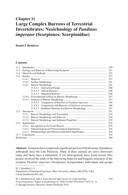 Large Complex Burrows of Terrestrial Invertebrates: Neoichnology of Pandinus Imperator (Scorpiones: Scorpionidae)