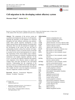 Cell Migration in the Developing Rodent Olfactory System