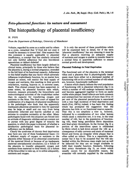 The Histopathology of Placental Insufficiency