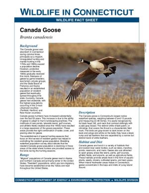 Canada Goose Fact Sheet