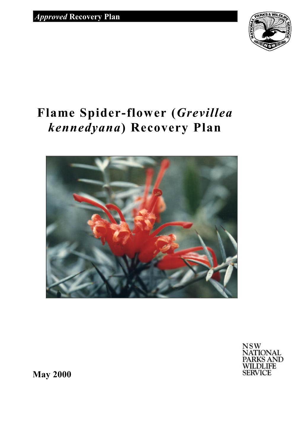 Flame Spider-Flower (Grevillea Kennedyana) Recovery Plan