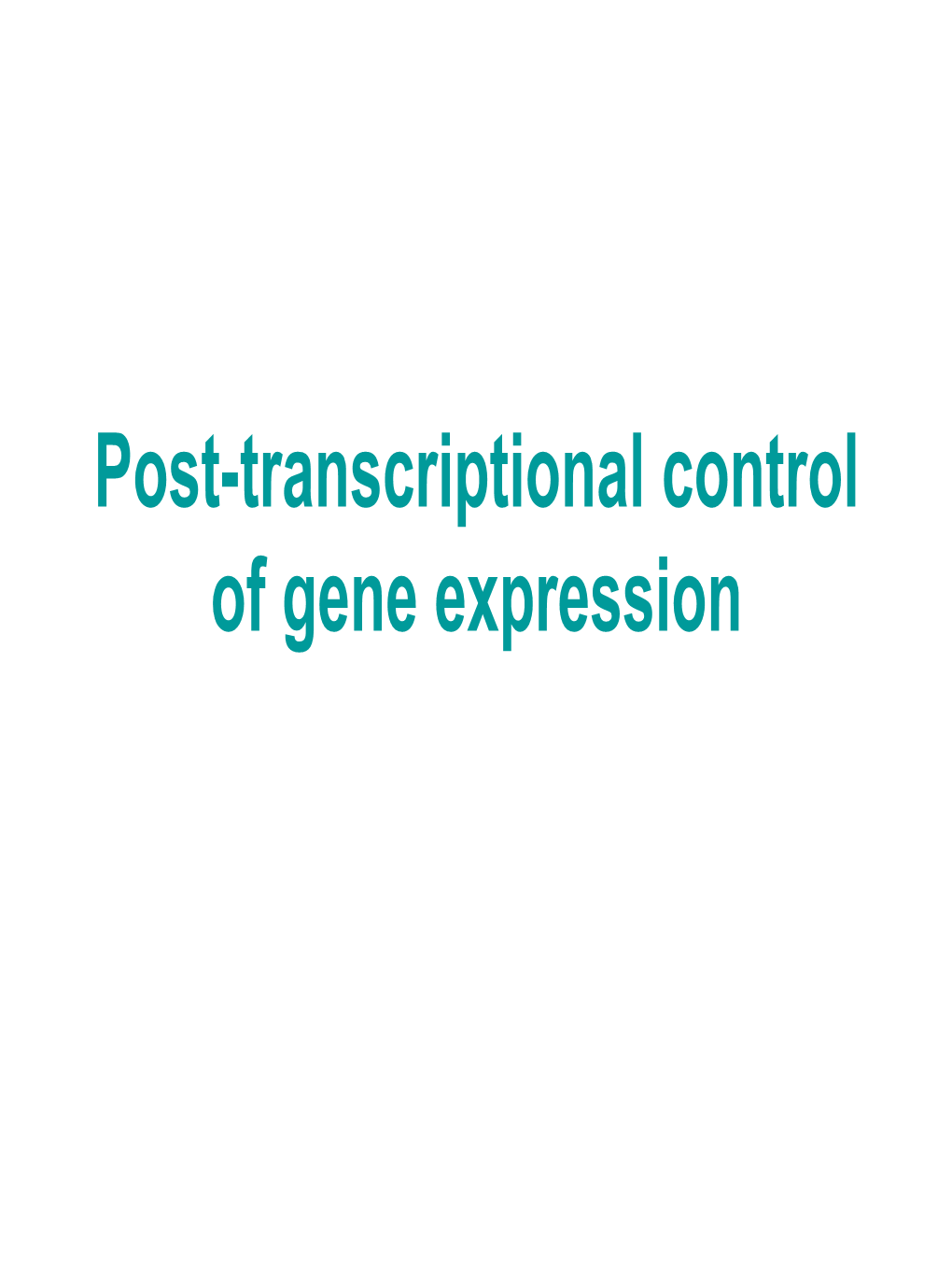 Post-Transcriptional Control of Gene Expression Possible Post-Transcriptional Controls on Gene Expression