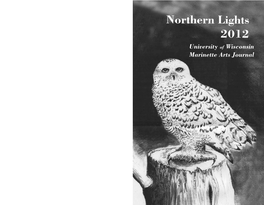 Northern Lights 2012