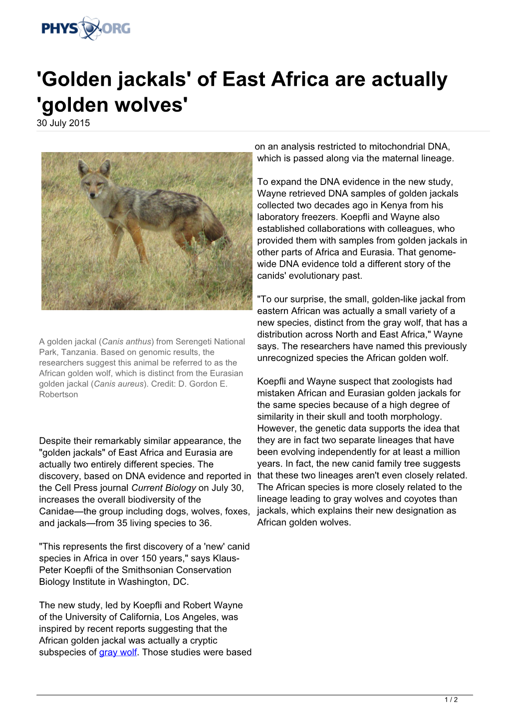 Golden Jackals' of East Africa Are Actually 'Golden Wolves' 30 July 2015