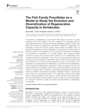 The Fish Family Poeciliidae As a Model to Study the Evolution and Diversiﬁcation of Regenerative Capacity in Vertebrates