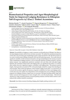 Biomechanical Properties and Agro-Morphological Traits for Improved Lodging Resistance in Ethiopian Teﬀ (Eragrostis Tef (Zucc.) Trottor) Accessions