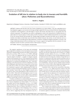 Evolution of Bill Size in Relation to Body Size in Toucans and Hornbills (Aves: Piciformes and Bucerotiformes)